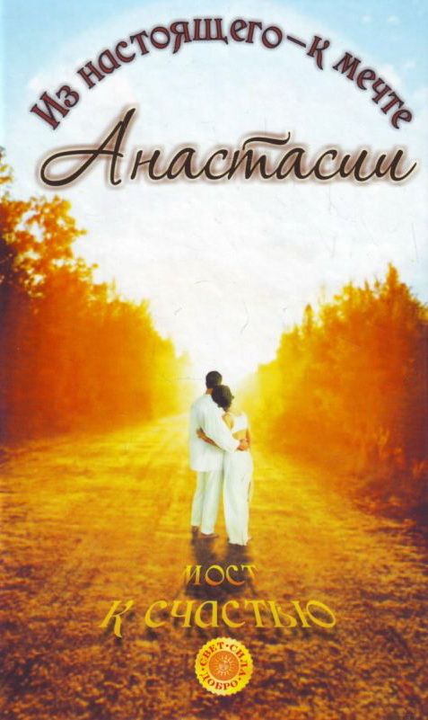 читать Мост к счастью. Из настоящего – к мечте Анастасии