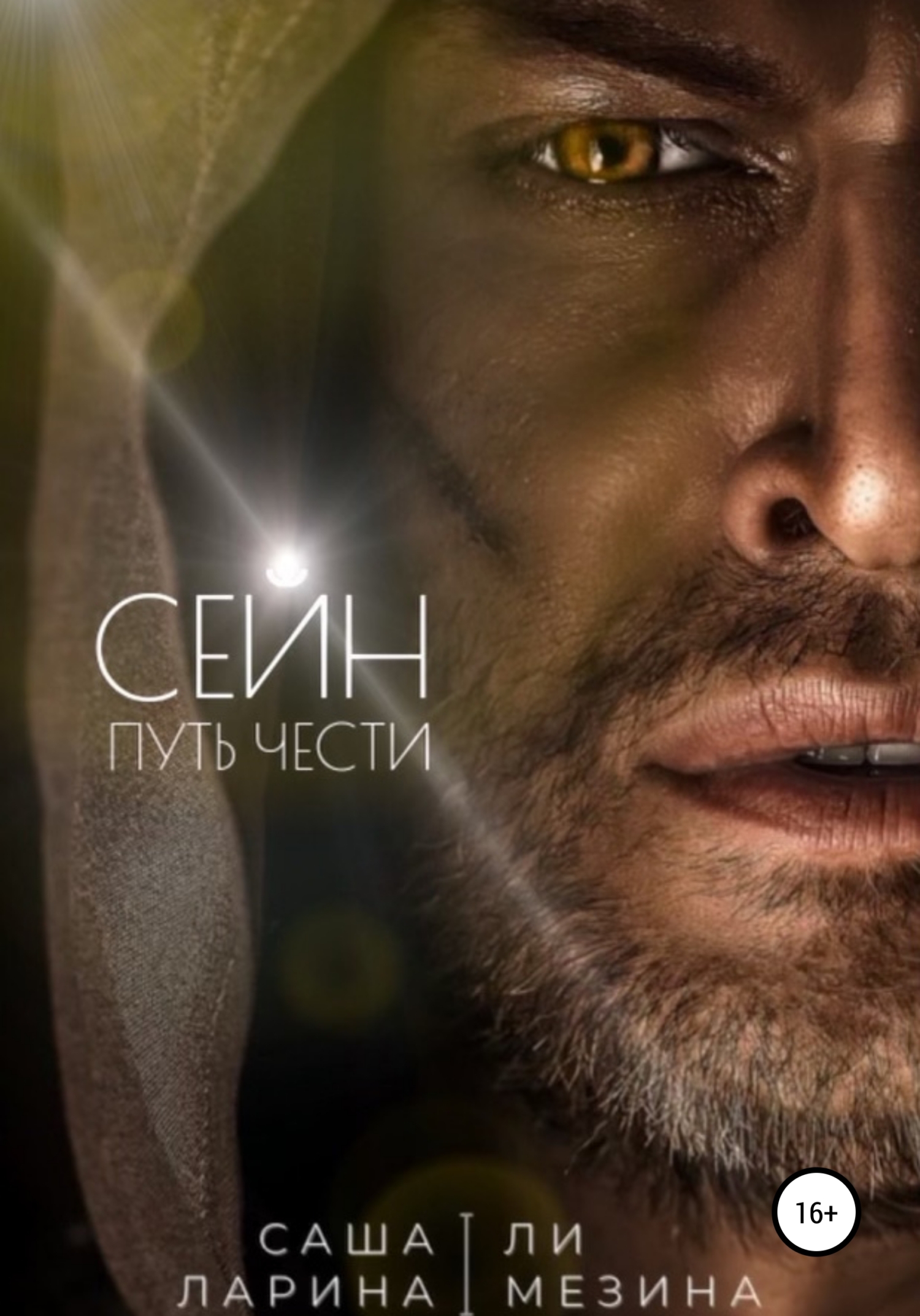 читать Сейн. Путь чести