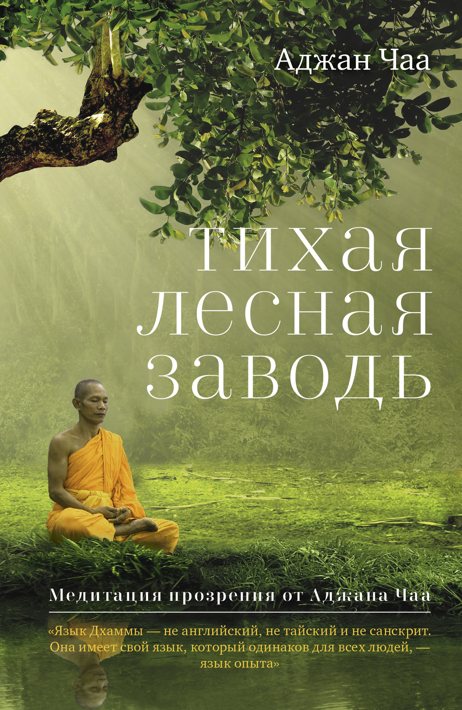читать Тихая лесная заводь. Медитация прозрения от Аджана Чаа