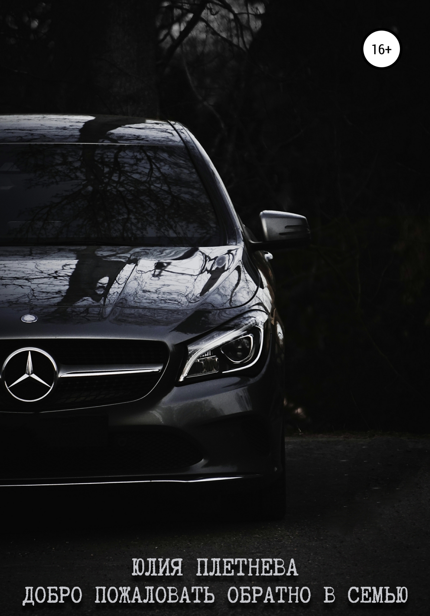 читать Добро пожаловать обратно в семью