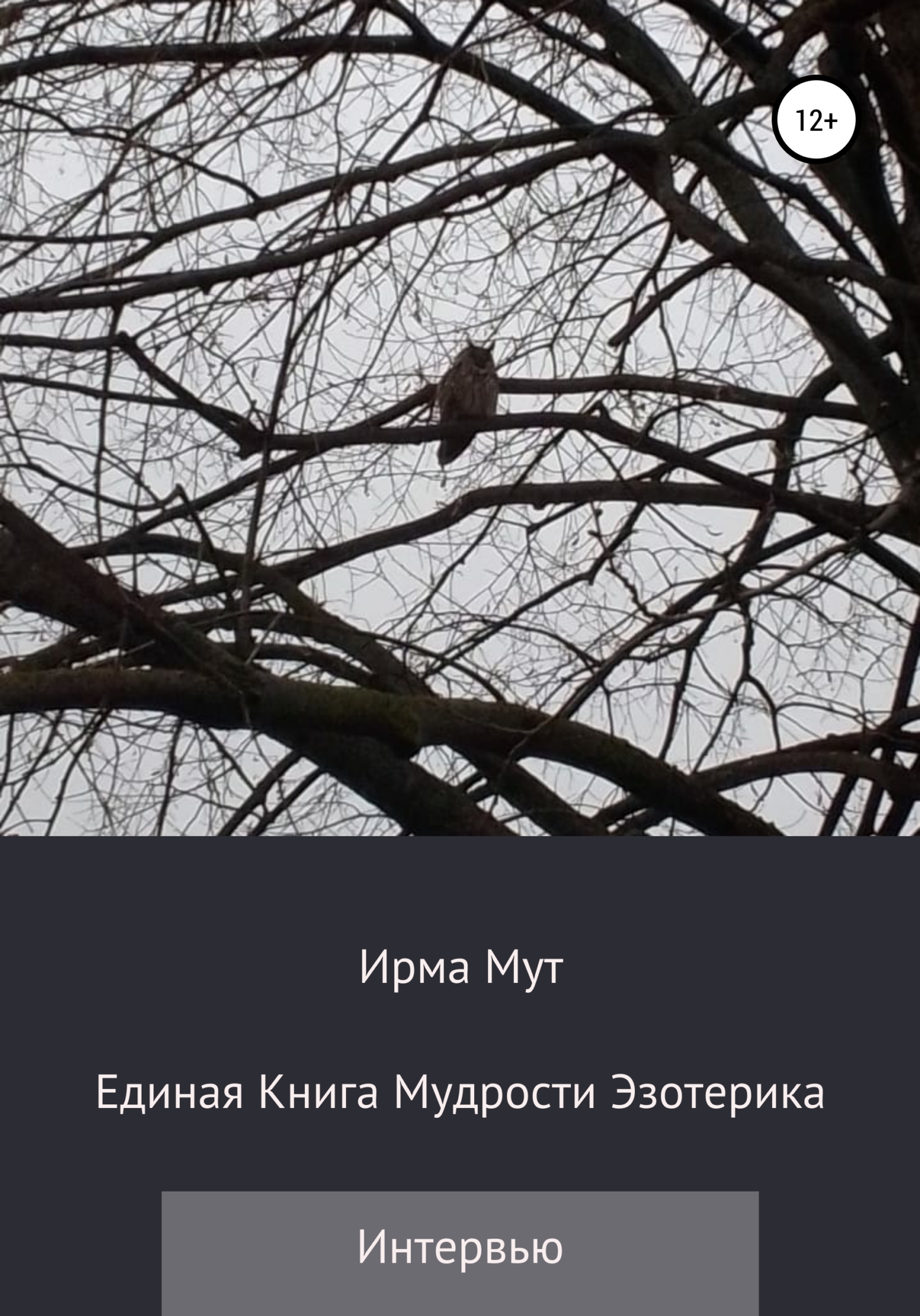 читать Единая книга мудрости эзотерика