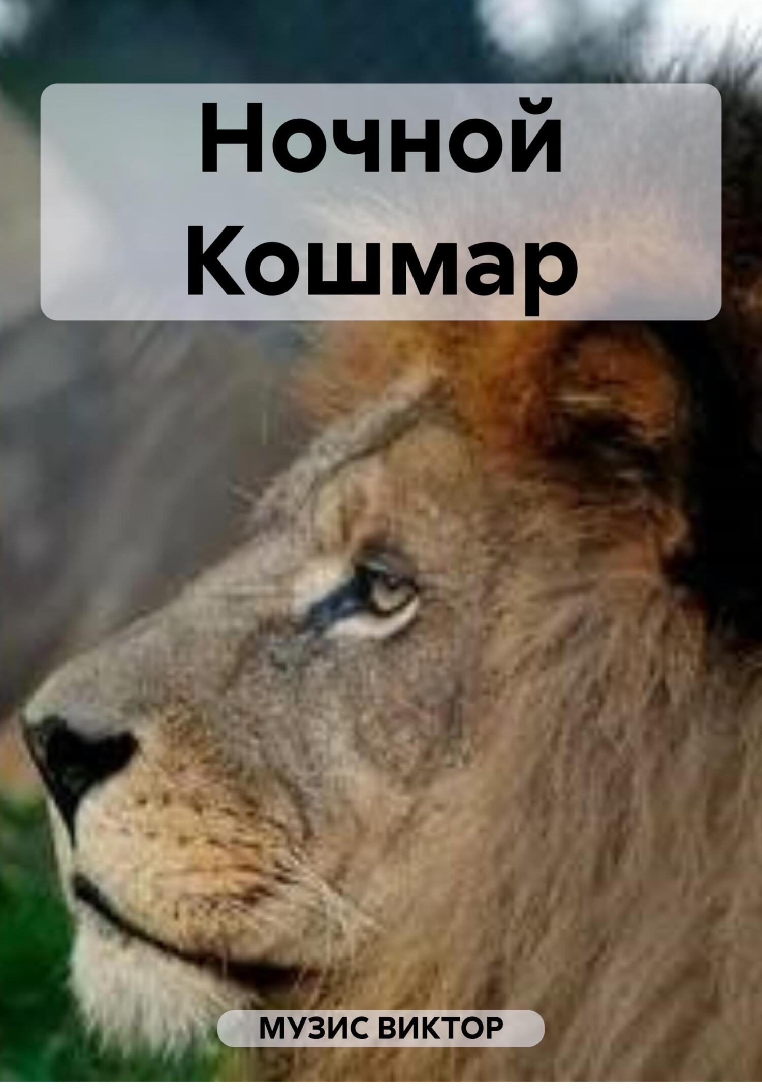читать Ночной Кошмар