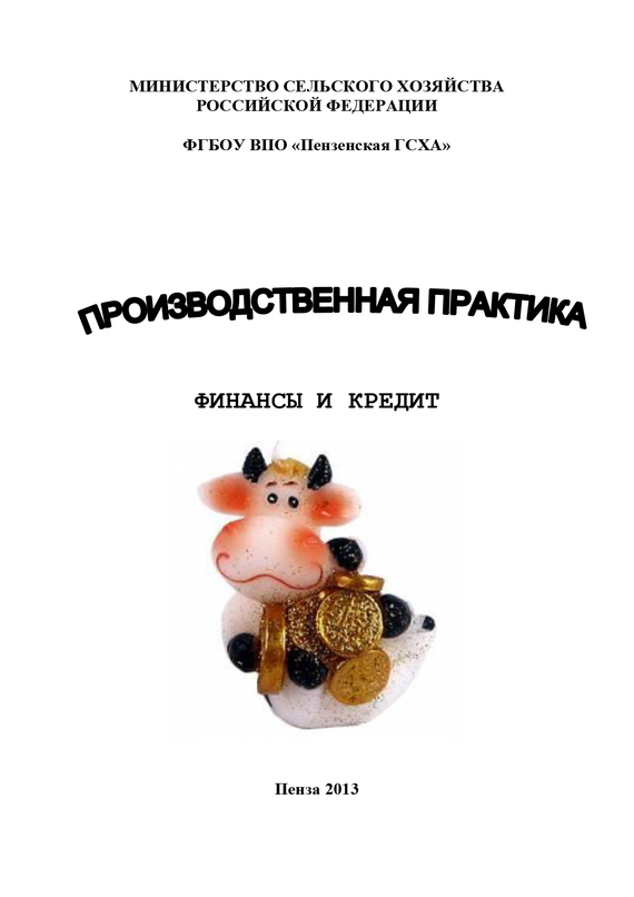 читать Производственная практика. Финансы и кредит