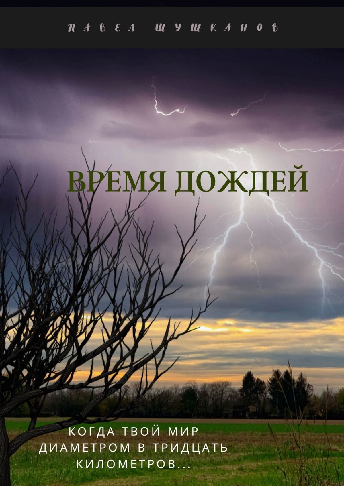 читать Время дождей