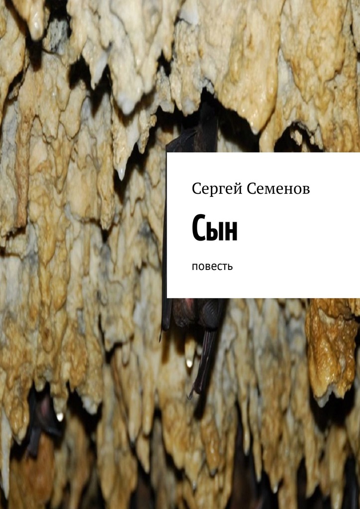 читать Сын. Повесть
