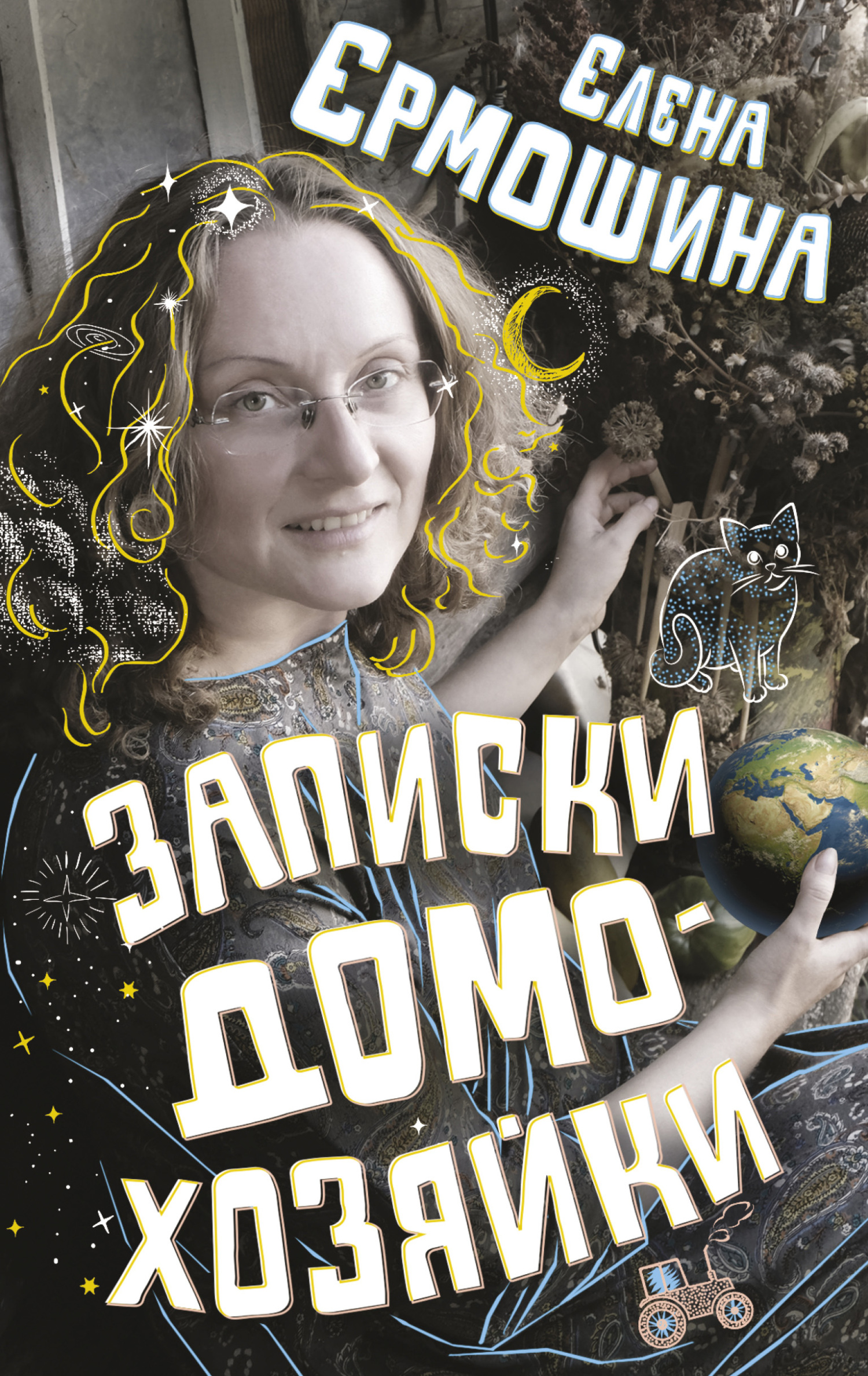 читать Записки домохозяйки