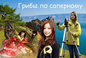 читать Грибы по-саперному