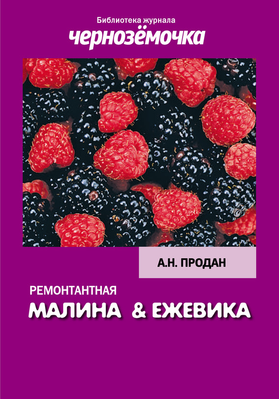 читать Ремонтантная малина и ежевика