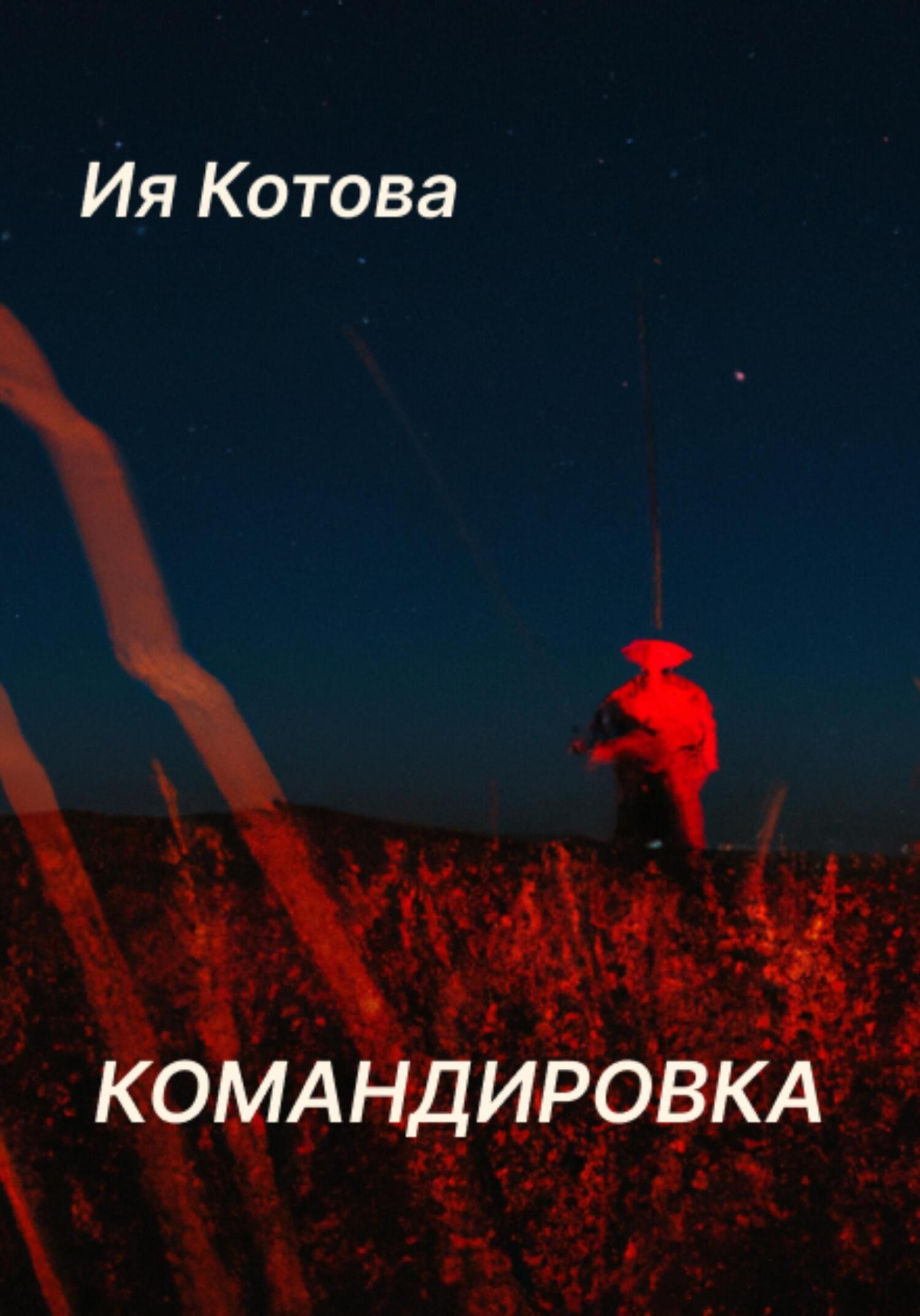 читать Командировка