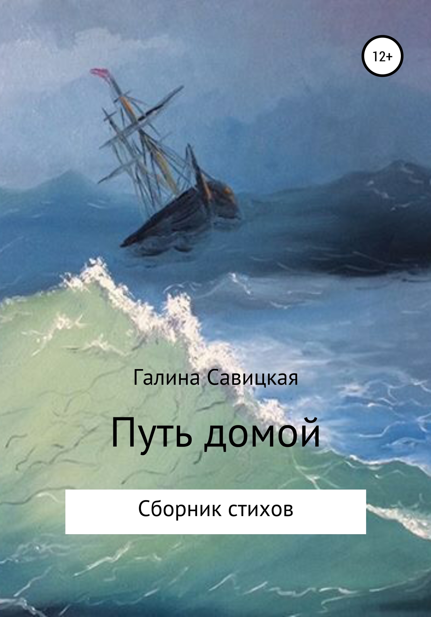 читать Путь домой