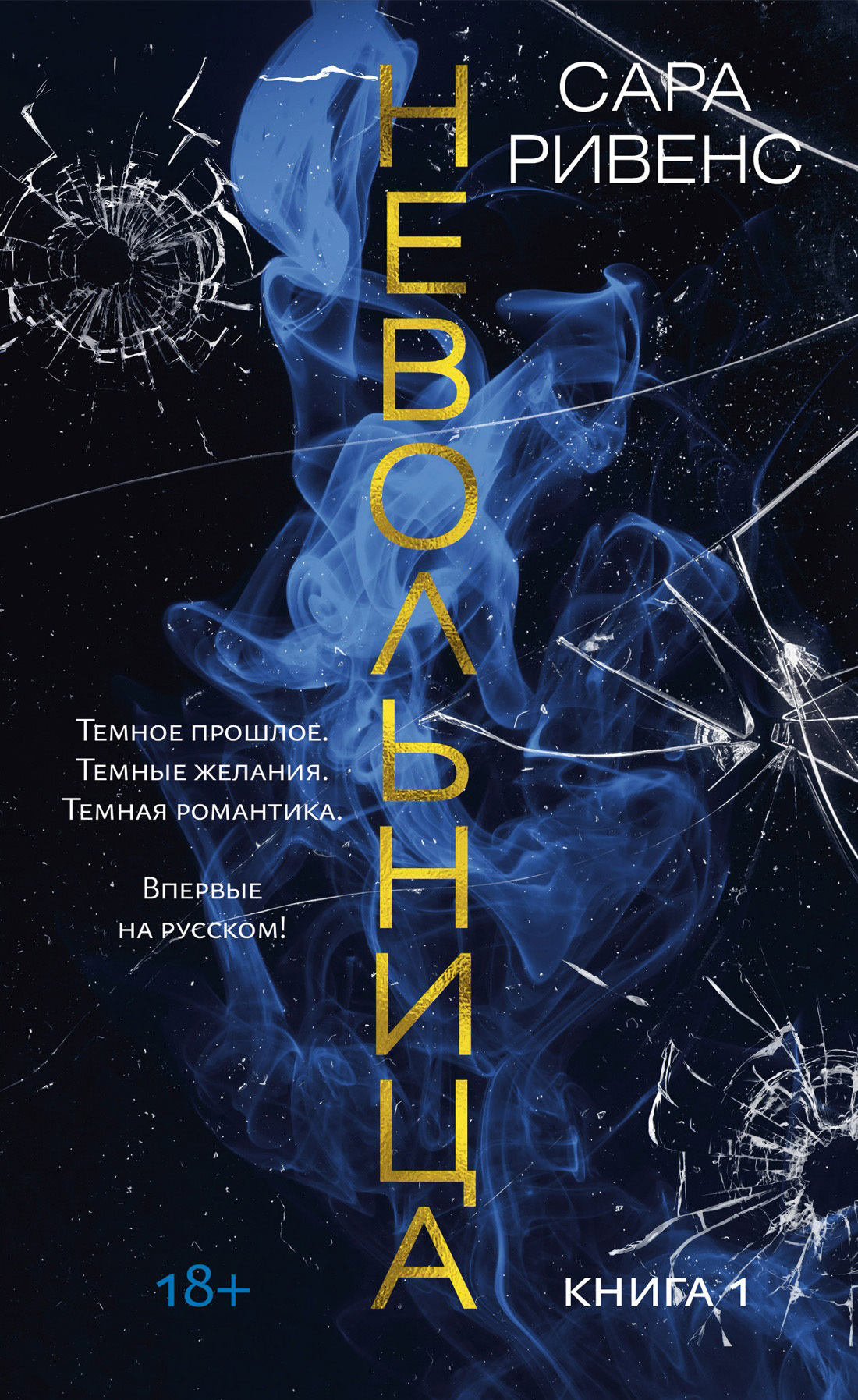 читать Невольница. Книга 1