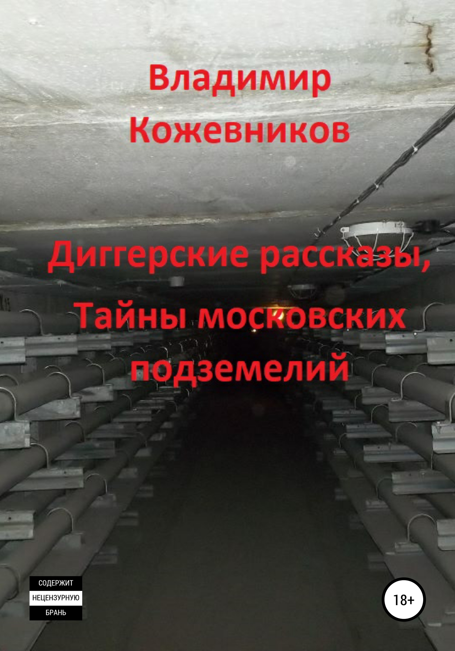 читать Диггерские рассказы, тайны московских подземелий