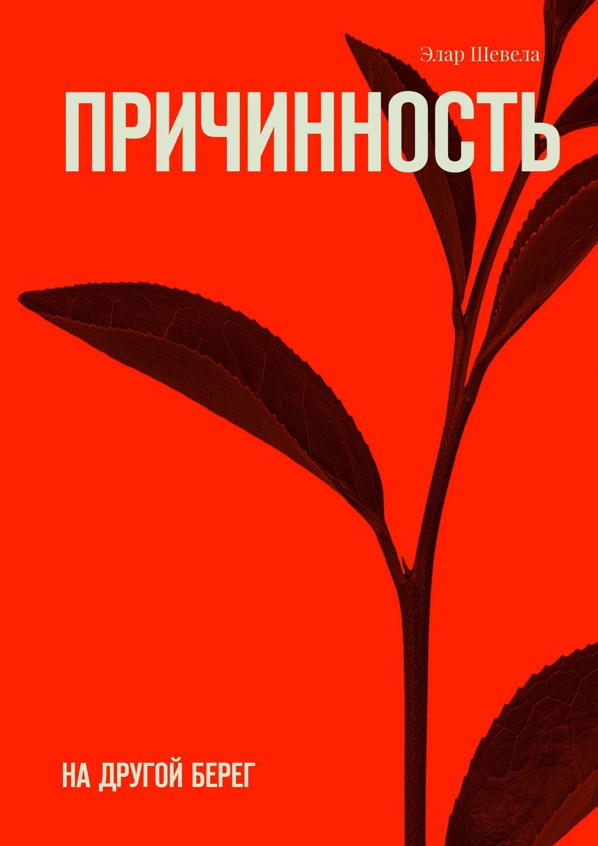 читать Причинность. На другой берег