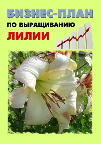 читать Бизнес-план по выращиванию лилии