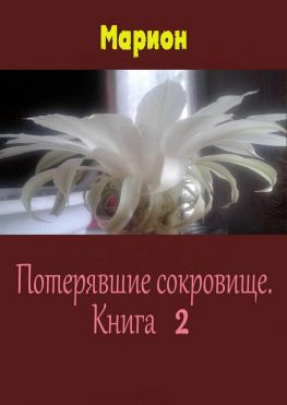 читать Потерявшие сокровище. Книга 2
