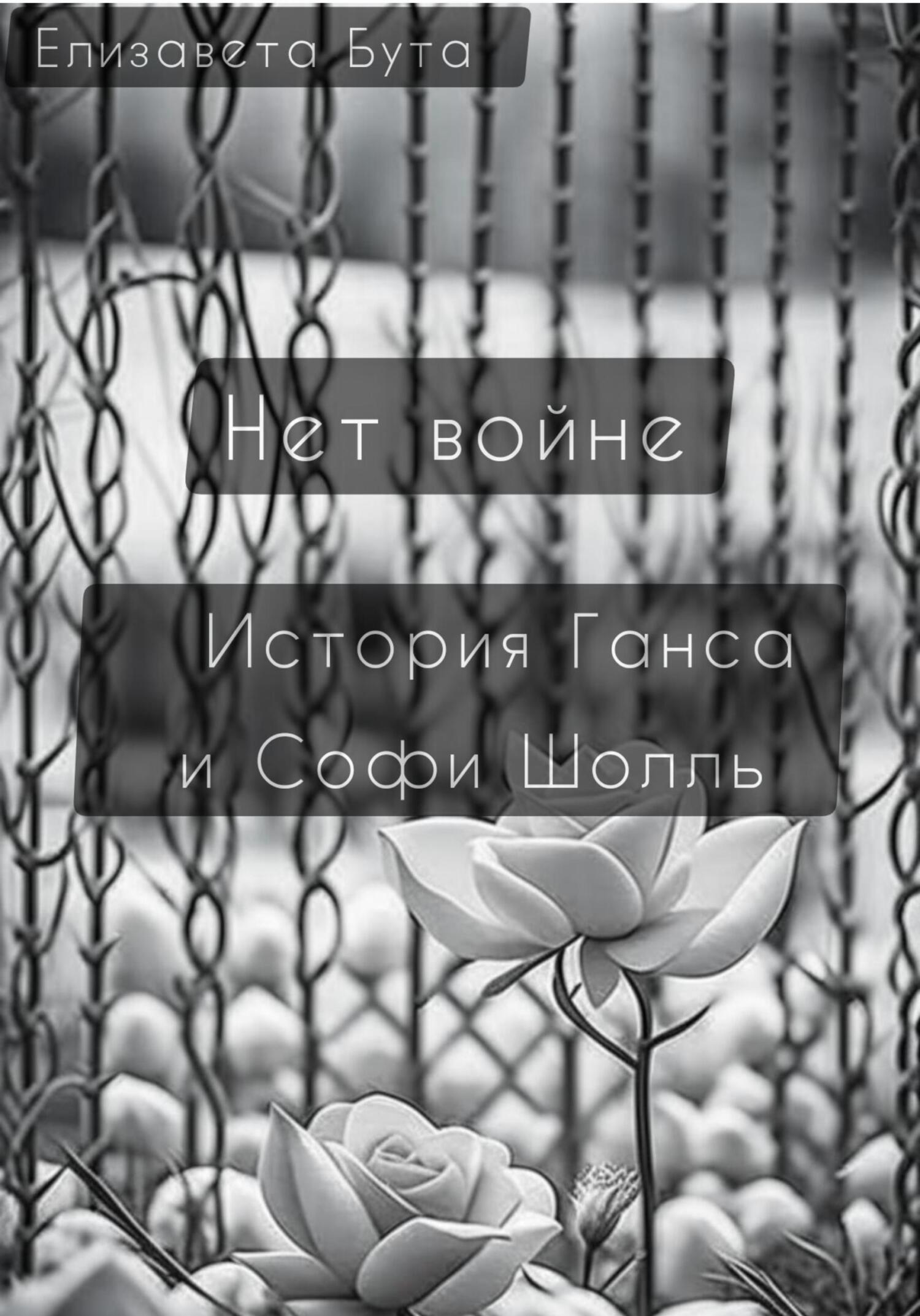 читать Нет войне. История Ганса и Софи Шолль
