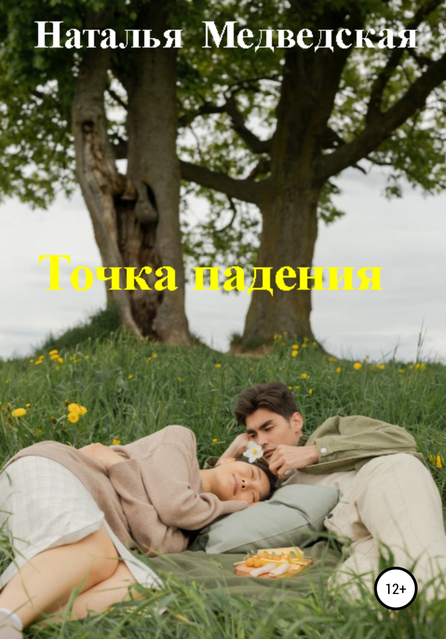 читать Точка падения