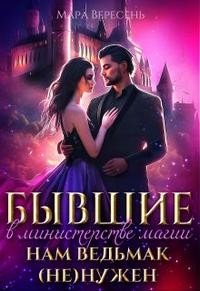 читать Бывшие в министерстве магии. Нам ведьмак (не) нужен