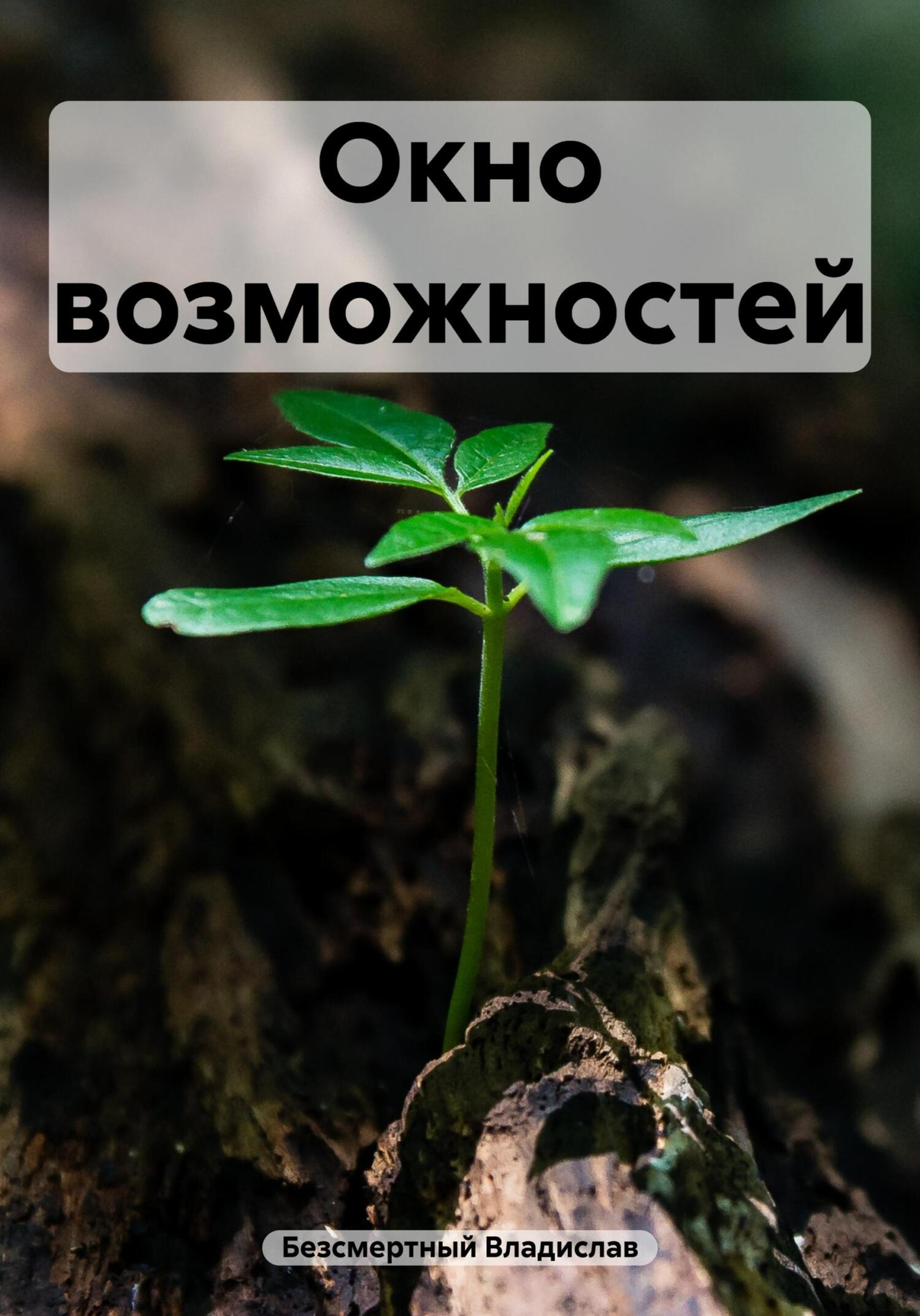 читать Окно возможностей