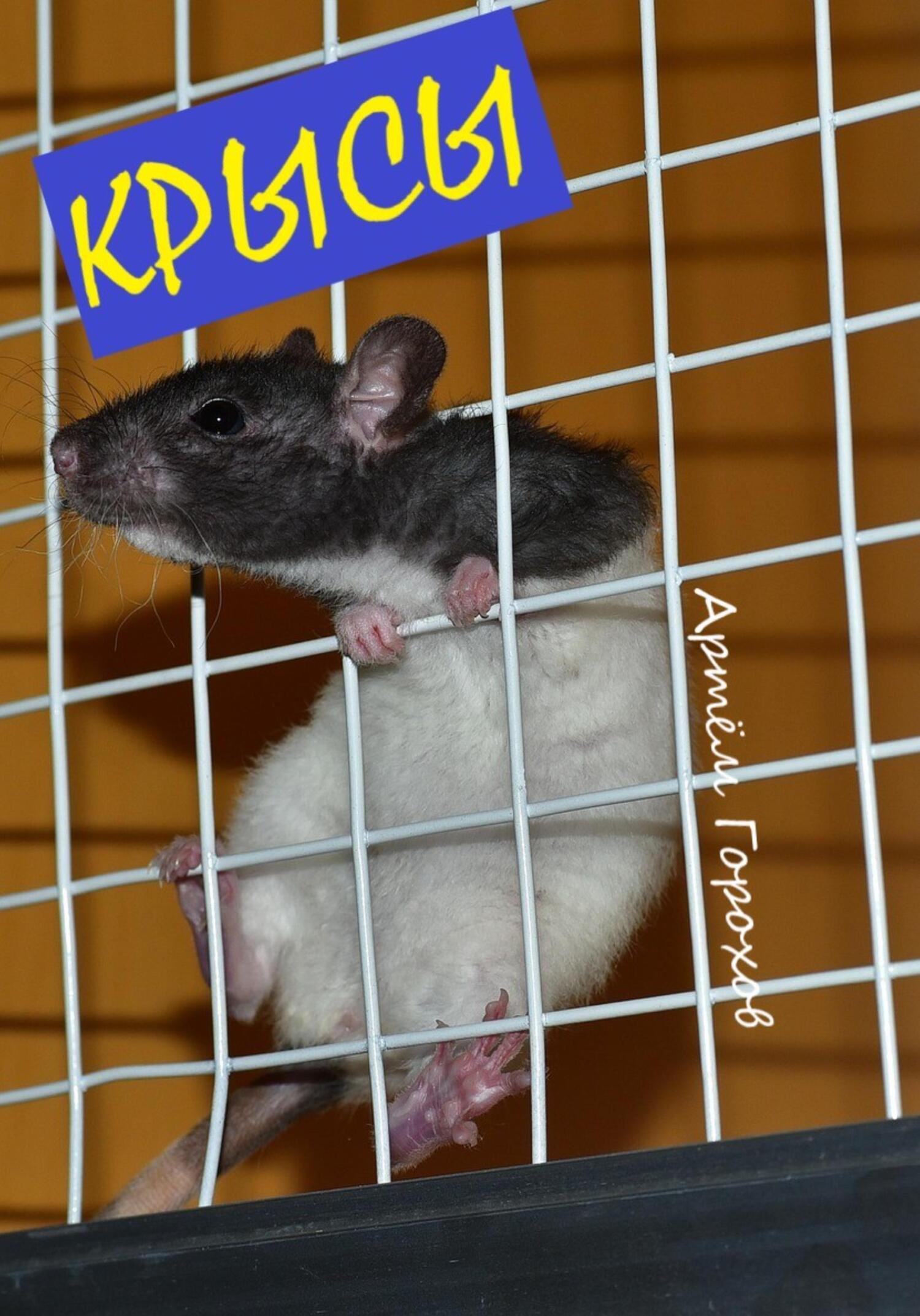 читать Крысы