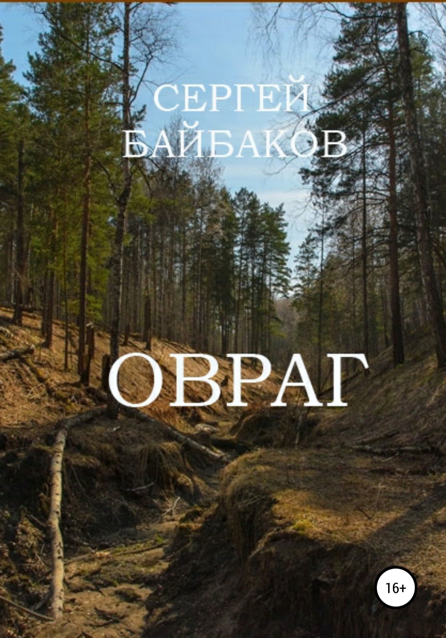 читать Овраг