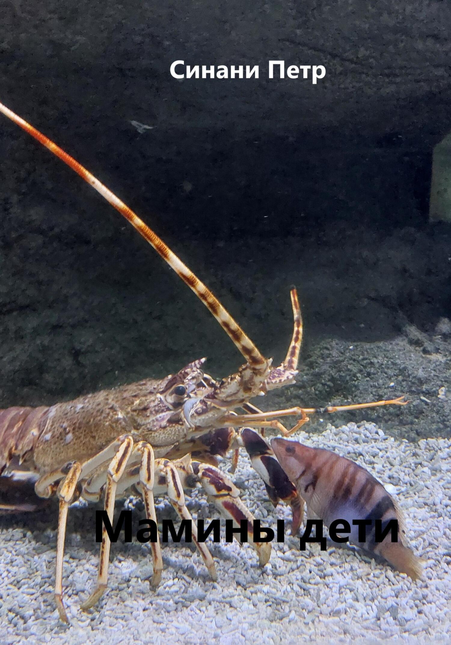 читать Мамины дети