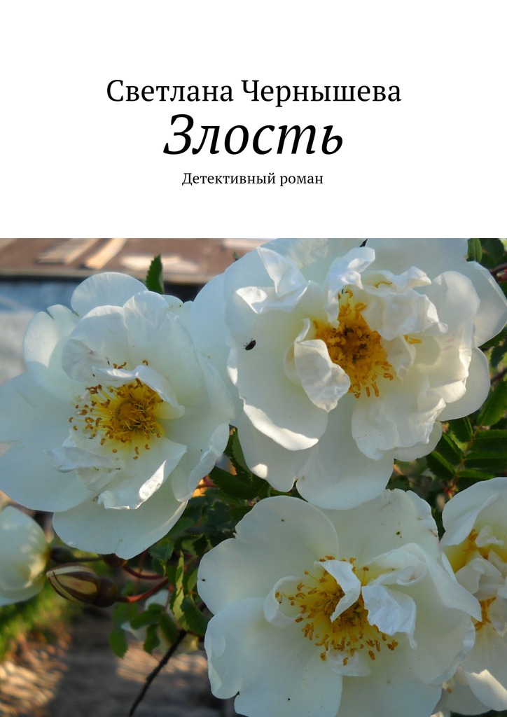читать Злость. Детективный роман