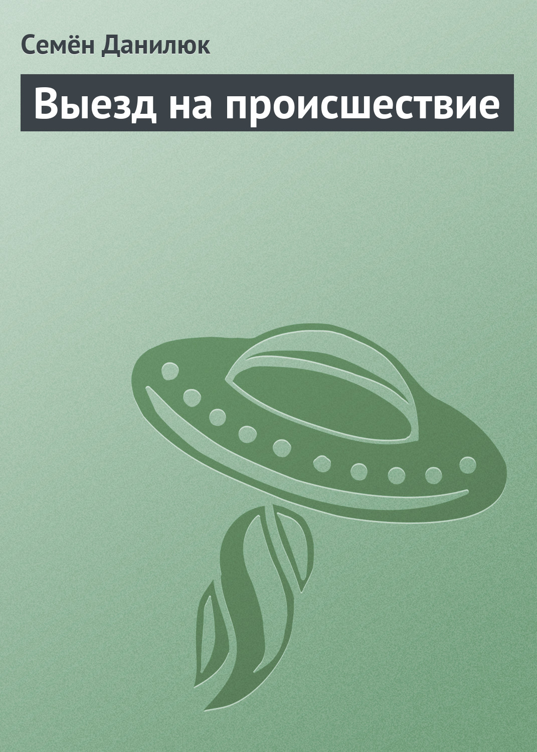 читать Выезд на происшествие