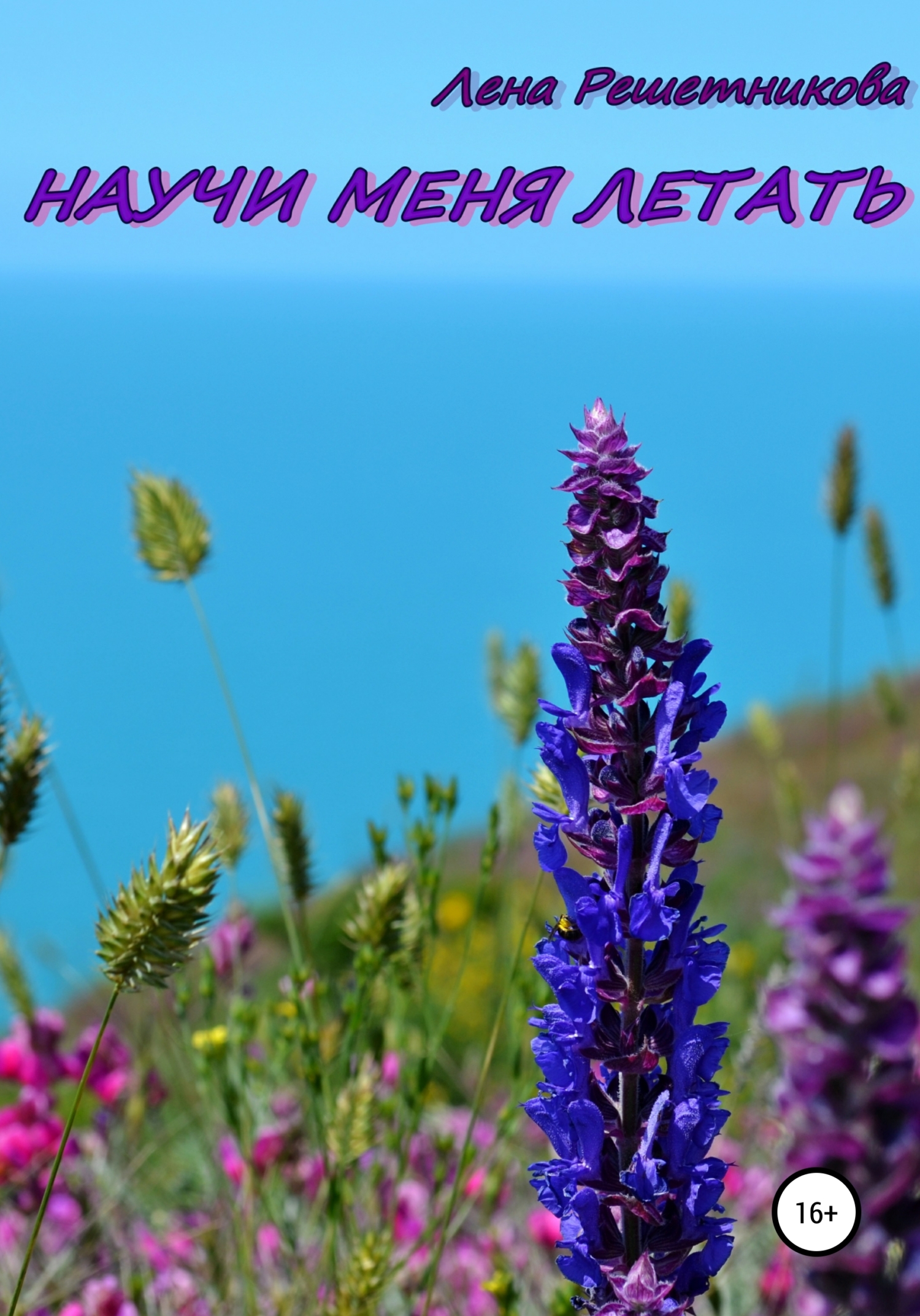 читать Научи меня летать