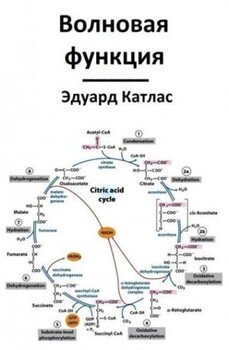 читать Волновая функция