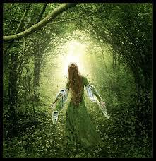 читать Тара