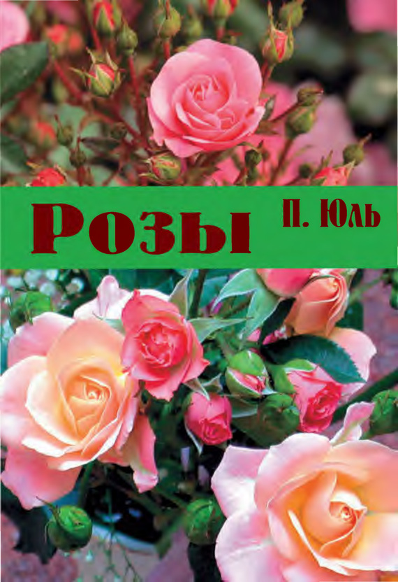 читать Розы