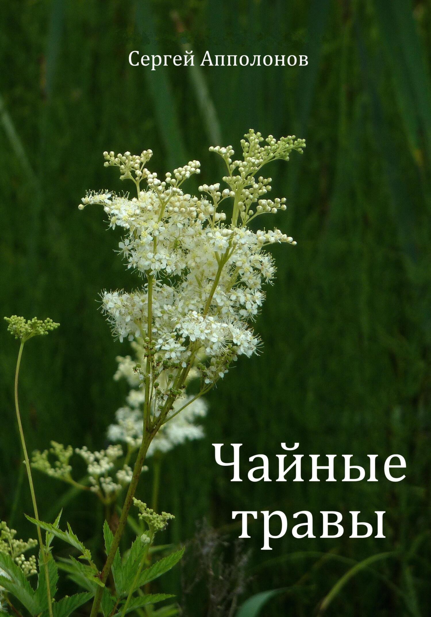читать Чайные травы