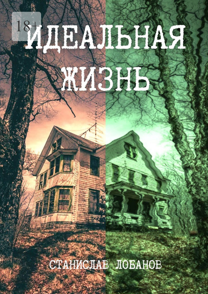 читать Идеальная жизнь