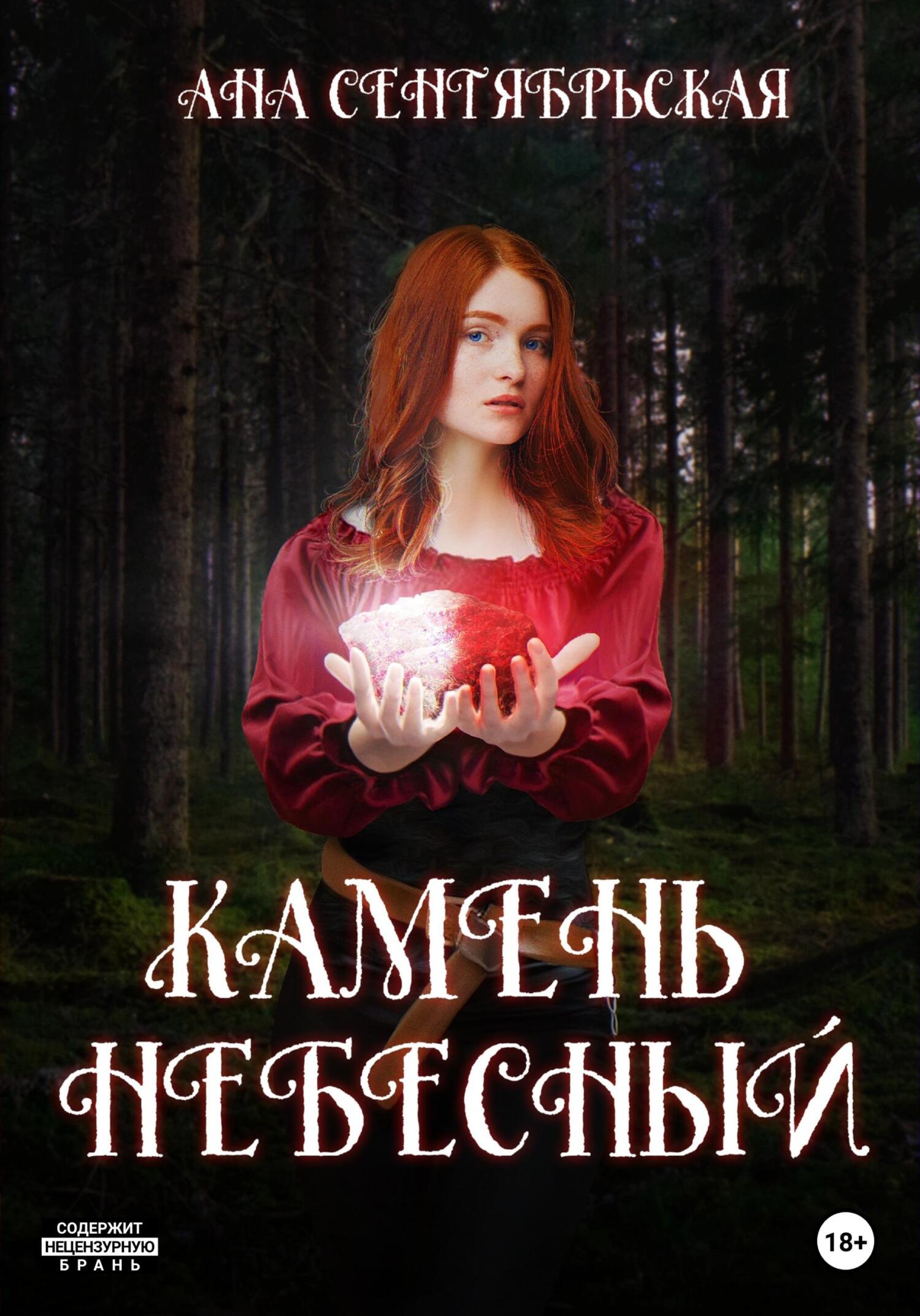 читать Камень Небесный