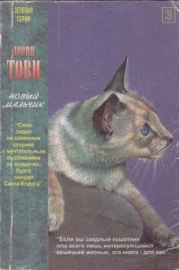 читать Новый мальчик