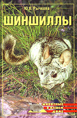 читать Шиншиллы