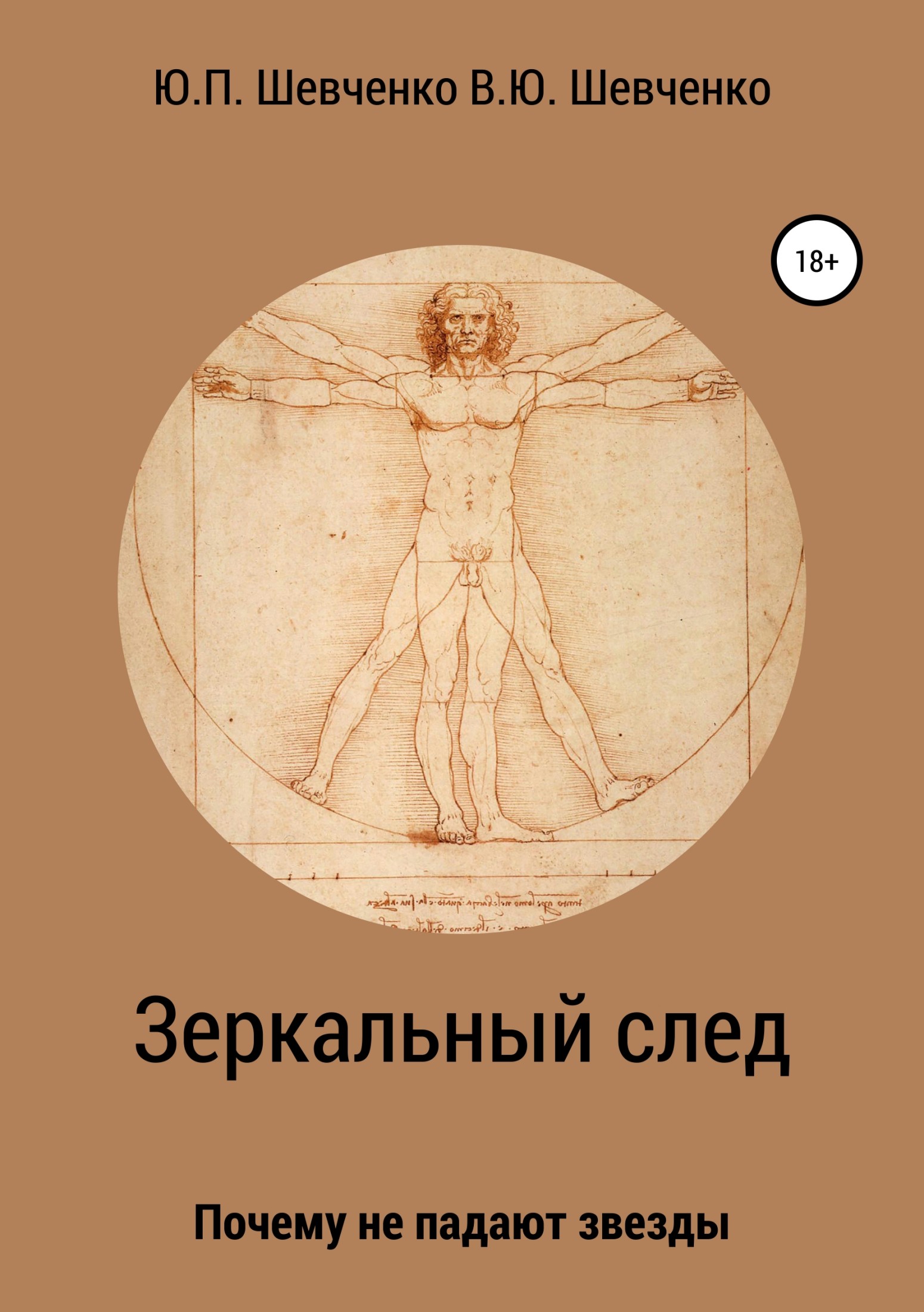 читать Зеркальный след. Почему не падают звезды