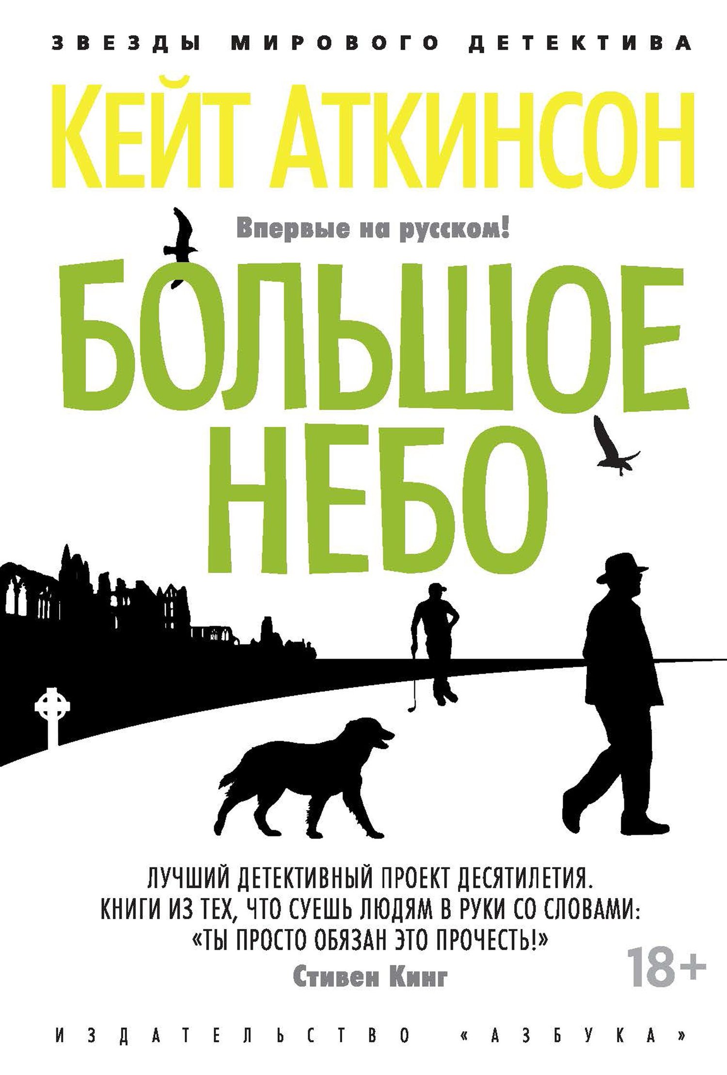 читать Большое небо