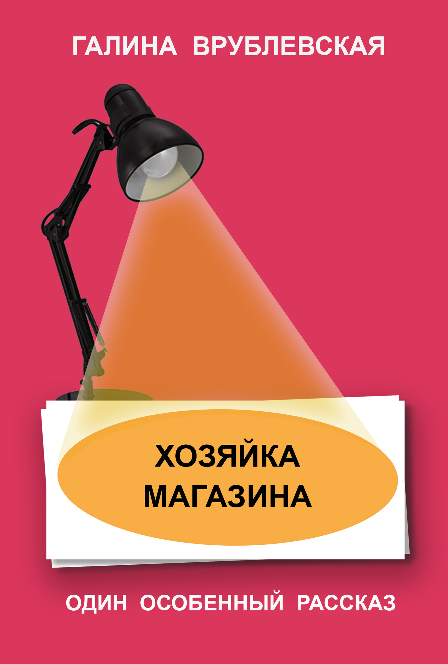 читать Хозяйка магазина