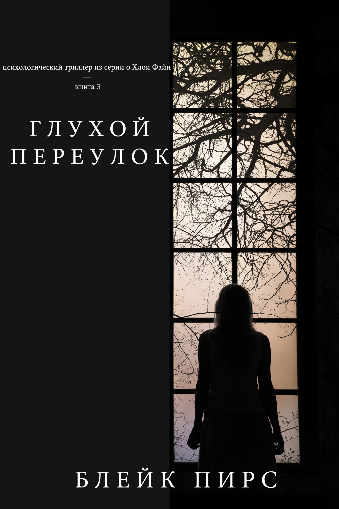 читать Глухой переулок (Безысходность)