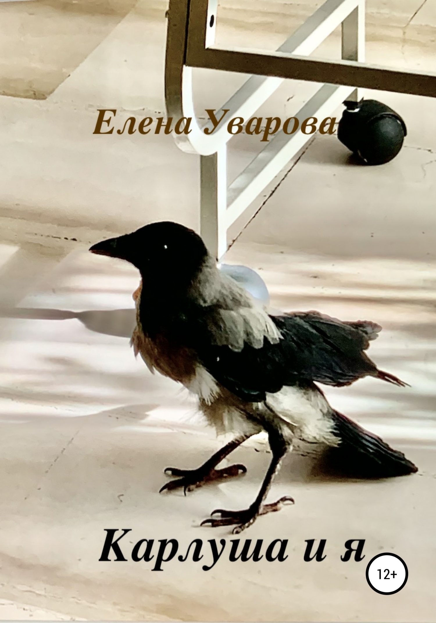 читать Карлуша и я