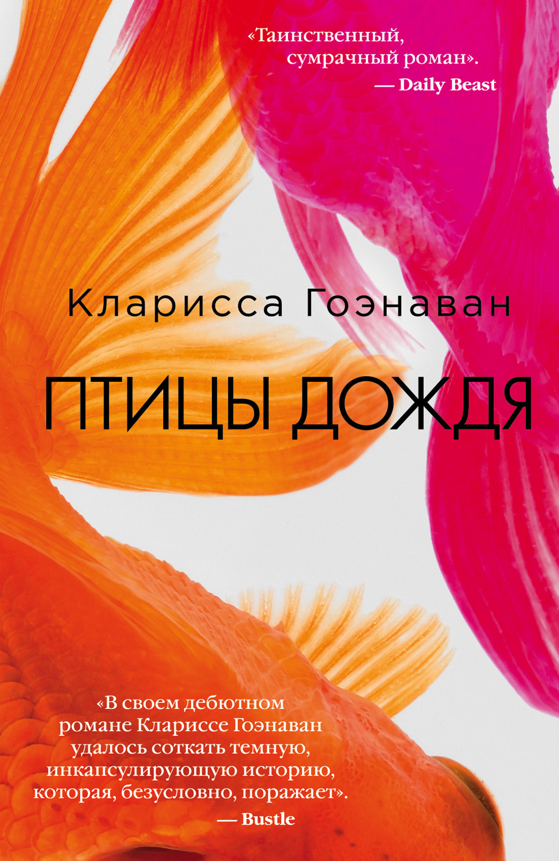 читать Птицы дождя