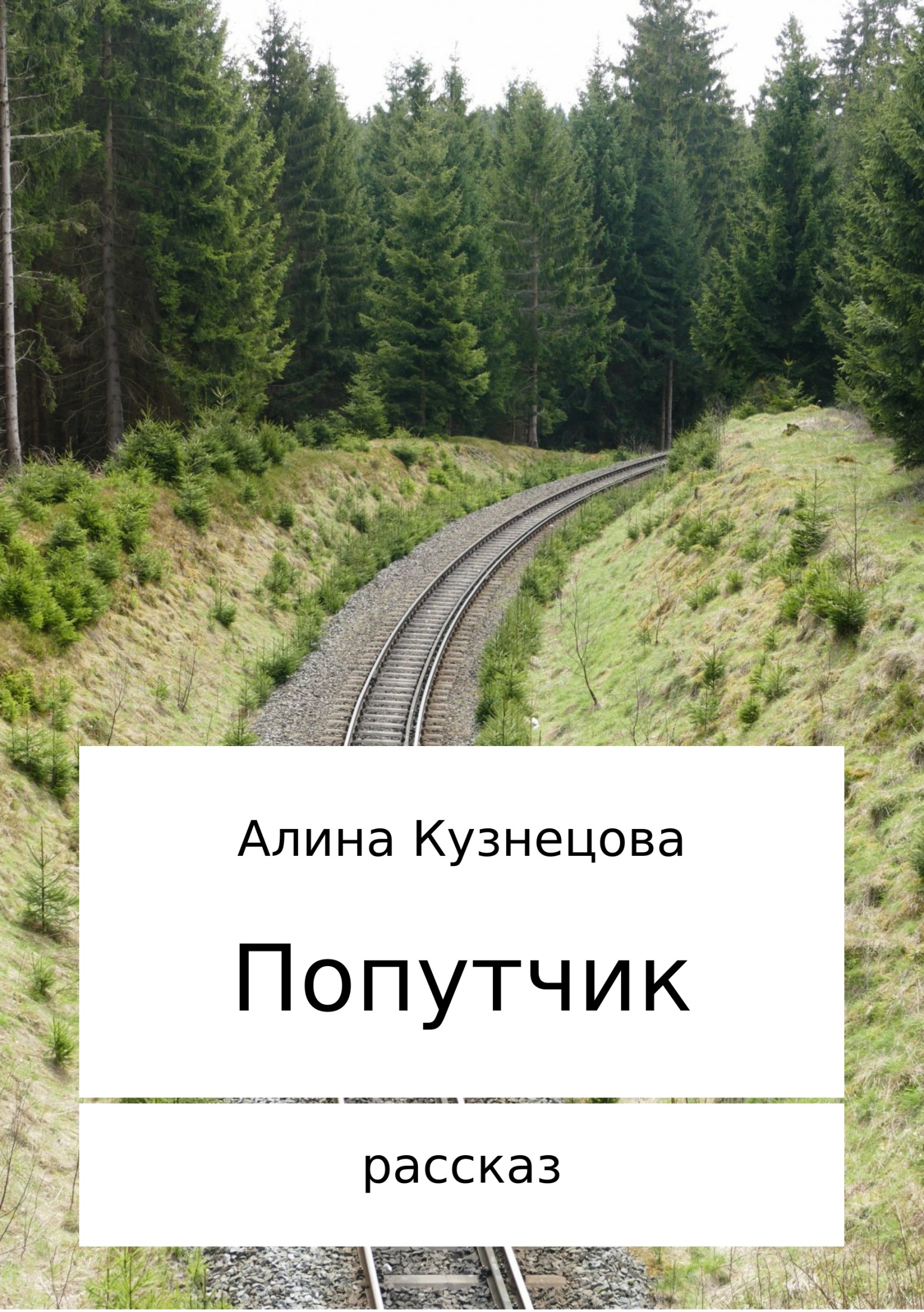 читать Попутчик
