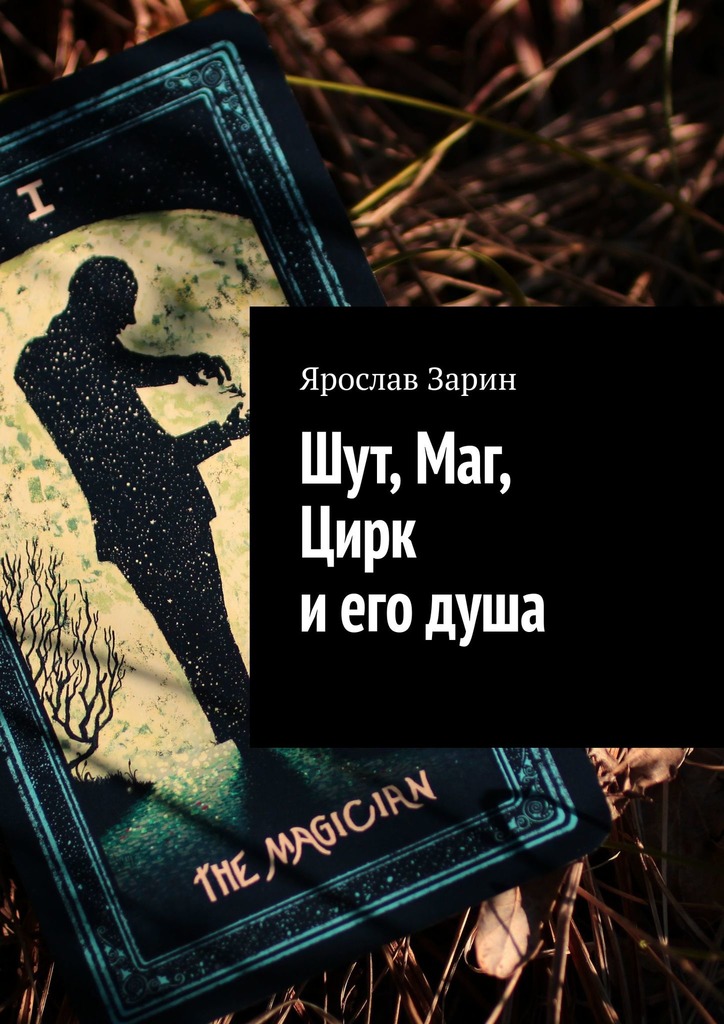 читать Шут, Маг, Цирк и его душа