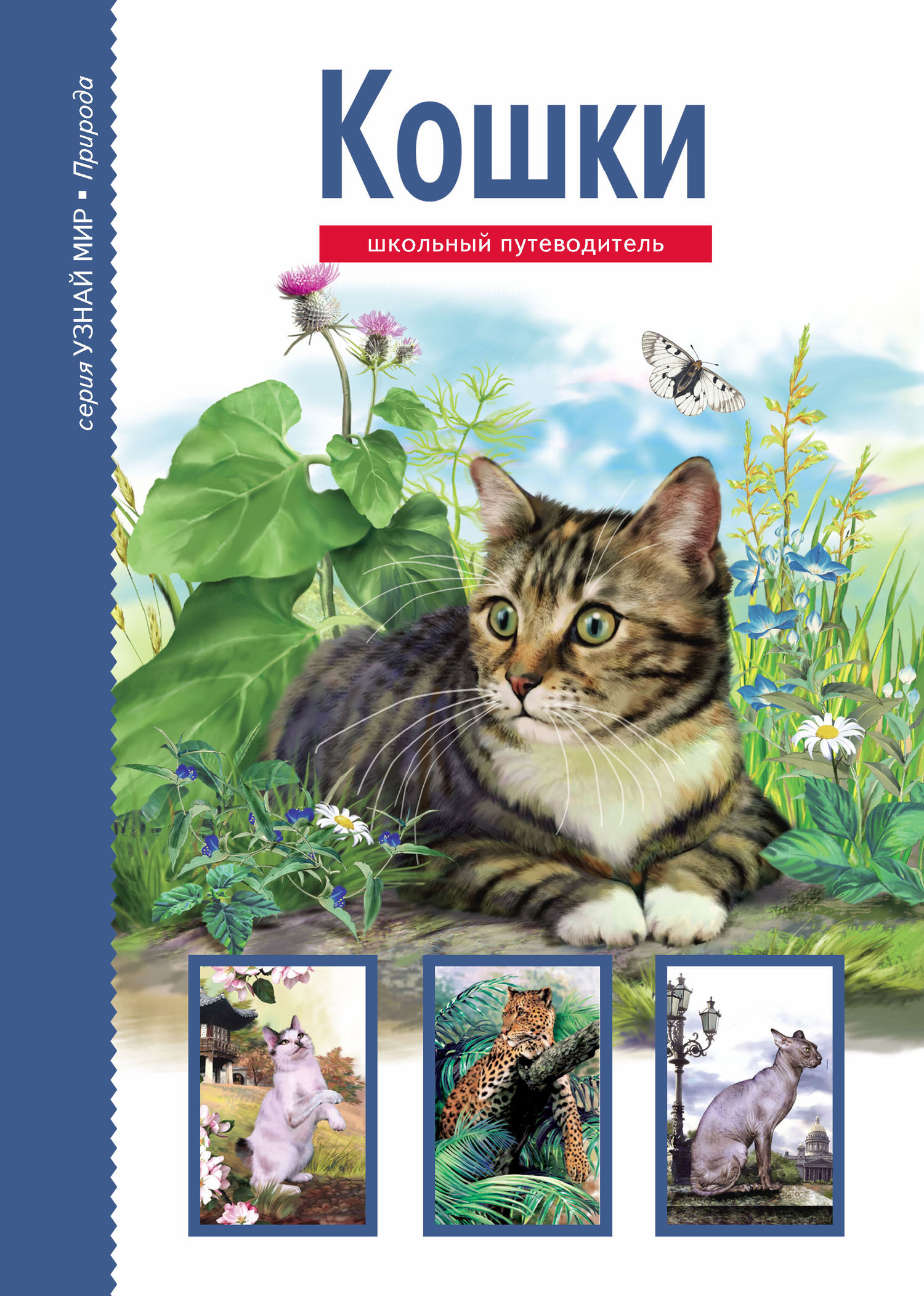 читать Кошки
