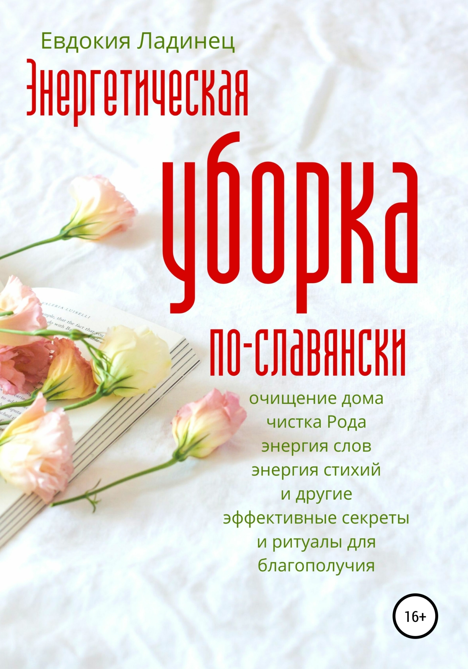 читать Энергетическая уборка по-славянски