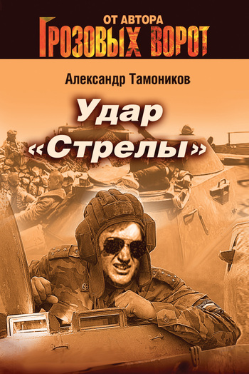 читать Удар «Стрелы»