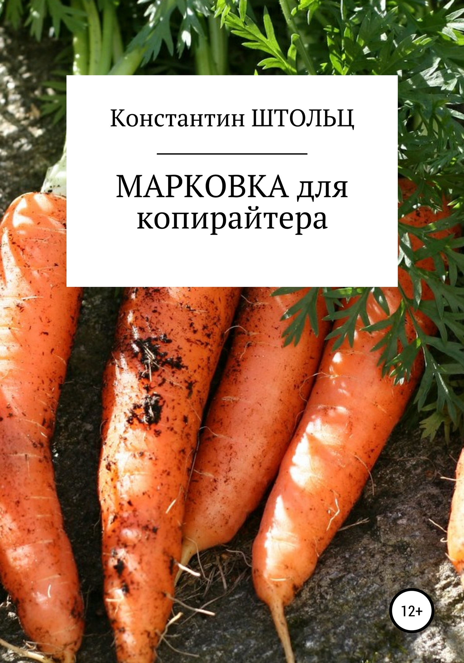 читать Марковка для копирайтера. Самоучитель