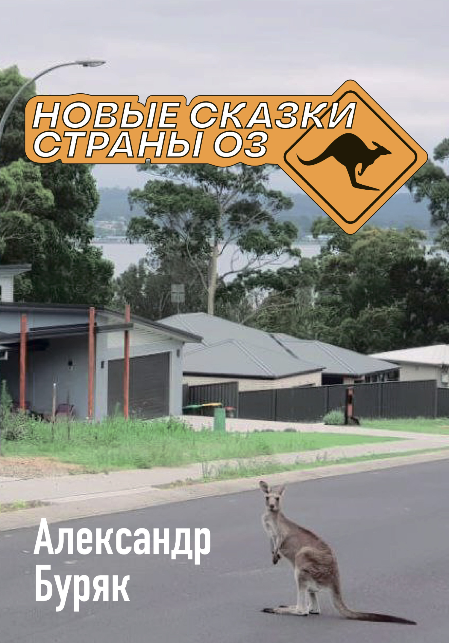 читать Новые сказки страны Оз